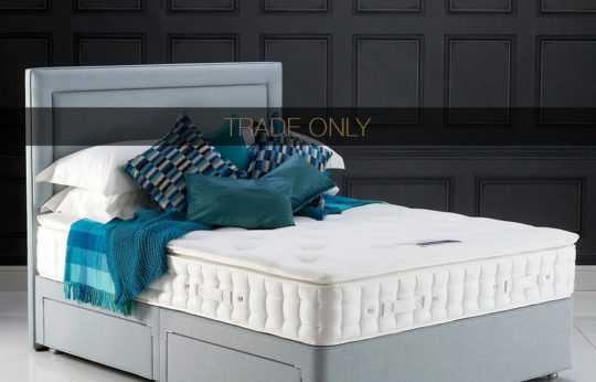 A neatly made bed with a gray upholstered frame and headboard, topped with a white mattress, multiple pillows in shades of blue and gray, and a blue throw blanket. The background features a dark paneled wall. Overlay text reads "TRADE ONLY.