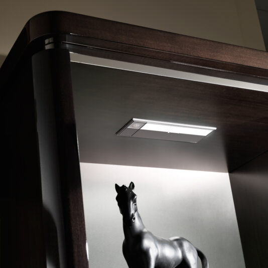 Luxury Walnut Veneer Italian Display Cabinet Luxury Walnut Veneer Italian Display Cabinet