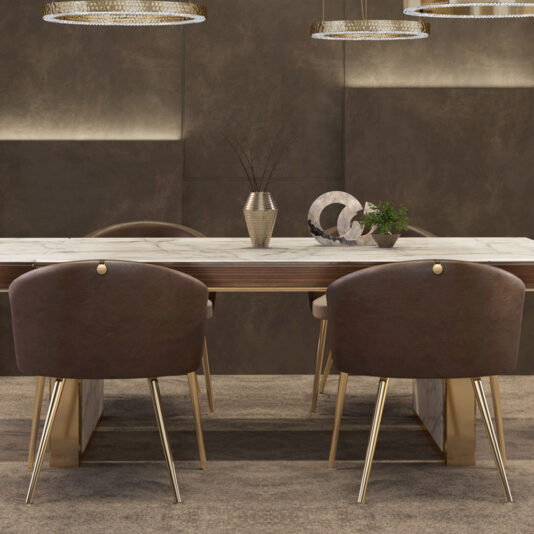 Luxury Designer Two-Tone Dining Chair