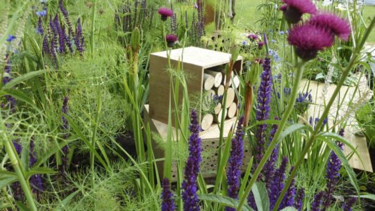 A lush garden, in line with current garden trends, features a variety of purple and pink flowers, tall green grasses, and a wooden bug hotel structure with circular cutouts filled with natural materials. The vibrant plant life and the bug hotel create a thriving habitat for insects.