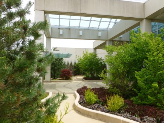 A modern outdoor atrium with a glass roof and surrounding concrete structures features a variety of lush green plants, shrubs, and small trees. The curved, paved paths wind through the well-maintained garden space, reflecting the latest garden trends and creating a serene and inviting atmosphere.