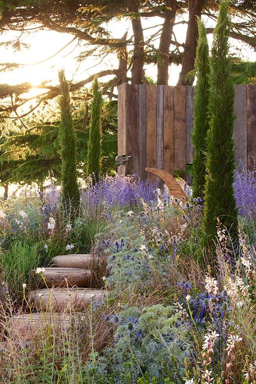 Outdoor retreat, Mediterranean garden with cypress trees, lavender, sea holly, grasses