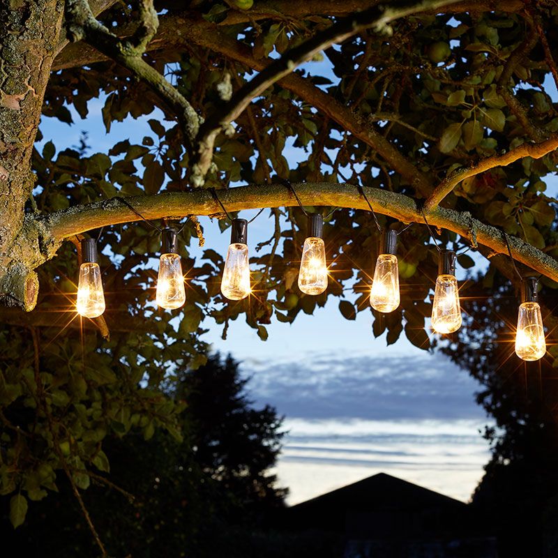 outdoor lighting, string of exposed filament bulbs along tree branch