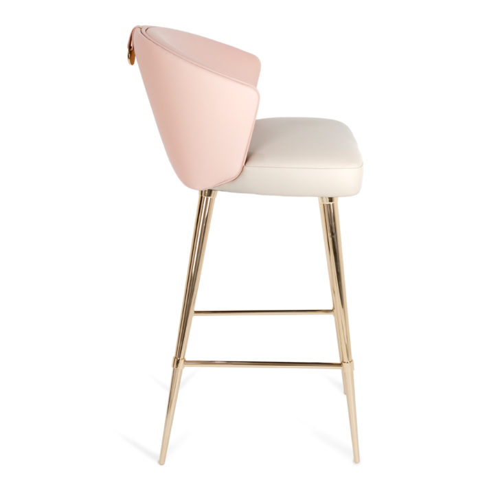 Two-Tone Leather Bar Stool