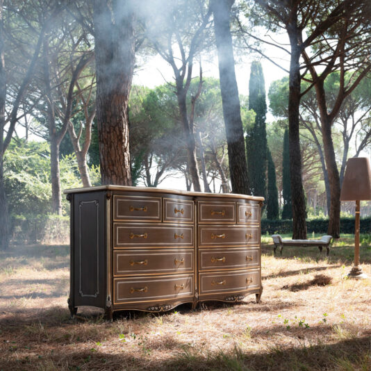 Large Double Louis Style Chest Of Drawers A Large Double Louis Style Chest Of Drawers sits in a sunlit forest clearing. Tall trees and scattered sunlight create a serene atmosphere, enhanced by a lamp and bench in the background.