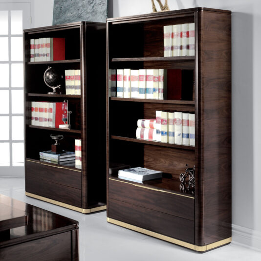 A modern home office showcases two dark wood bookshelves adorned with gold accents alongside a sleek Modern Wooden Bookcase With Drawers. The shelves are meticulously organized with an array of books, a globe, a small model bicycle, and various decorative pieces. Sunlight streams in through the glass-paneled door, bathing the room in natural light.