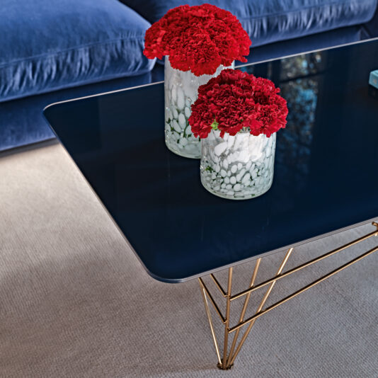 A sleek, modern **Modern Rectangular Glass Coffee Table** with gold legs holds two glass vases filled with vibrant red carnations. The vases are decorated with white pebbles. A blue velvet sofa is partially visible in the background on a cream-colored carpet.