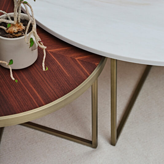 Product Description: The Modern Set Of Round Coffee Tables features a stylish and contemporary design with metal legs. The larger table boasts a sophisticated white marble top, while the smaller table is adorned with a natural wood-patterned surface, perfectly complemented by a small potted plant. The plant's long, trailing vines gracefully drape over the edge of the table, creating an elegant look against the backdrop of a light-colored carpet.