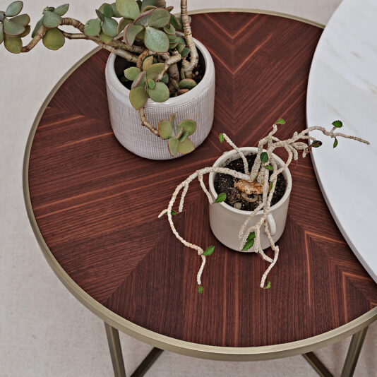 The Modern Set Of Round Coffee Tables showcases a chevron pattern tabletop elegantly decorated with two potted plants. One plant, in a gray pot, features succulent leaves, while the other, housed in a beige pot, displays long trailing stems with small leaves. A white circular object is partly visible on the table.