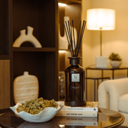 A cozy living room scene features an Extra Large Luxury Sable Onyx Room Diffuser set atop a stack of three books on a wooden coffee table. The table also houses a bowl filled with green potpourri. In the background, you can see a lamp casting a warm glow next to a white armchair and decorative shelving.
