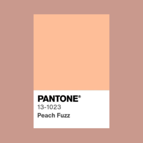 pantone colour of the year