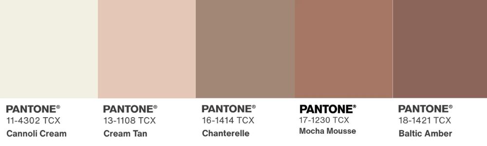 The color swatches elegantly showcase five Pantone shades, including the rich Mocha Mousse, alongside Cannoli Cream, Cream Tan, Chanterelle, and Baltic Amber. These hues beautifully transition from light to dark beige and brown tones.