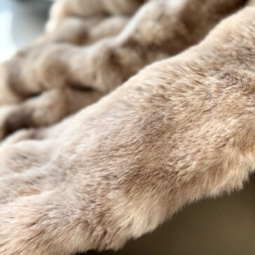 Beige Textured Faux Fur Throw Close-up of the Beige Textured Faux Fur Throw reveals its plush, smooth surface. The mix of light and dark shades adds depth, mimicking the softness and inviting warmth of fine fur.