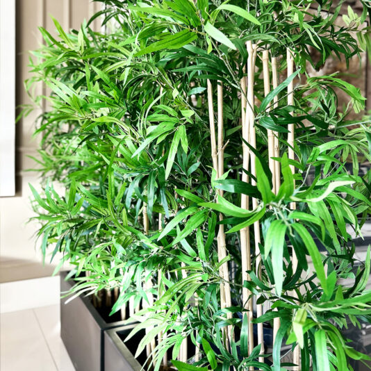 Set Of 2 Artificial Bamboo Planter Screens A Faux White Agapanthus In Glazed Bowl (Copy) is arranged with tall green leafy plants and slender bamboo canes in modern indoor planters, creating a lush display illuminated by natural sunlight.