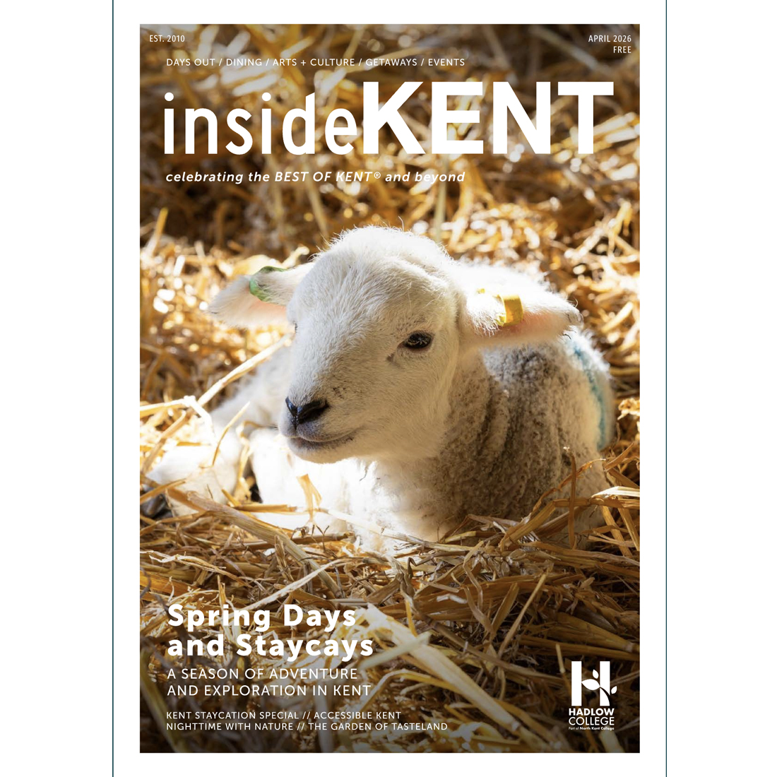 A young lamb lies on straw in sunlight, looking up, featured on the cover of insideKENT magazine’s April 2024 issue with the headline “Spring Days and Staycays”.