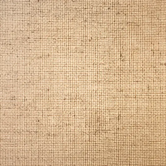 Close-up of a beige woven fabric with a visible grid-like texture and pattern, showing intersecting horizontal and vertical threads.