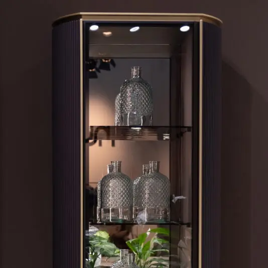 The Contemporary Lacquered Narrow Display Cabinet features two shelves displaying five clear, textured glass bottles—three on the bottom shelf and two on the top—with green plants visible at the cabinet’s base.